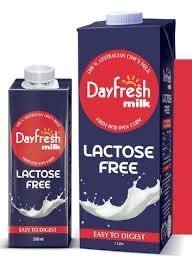 DayFresh Lactose Free - 200ml