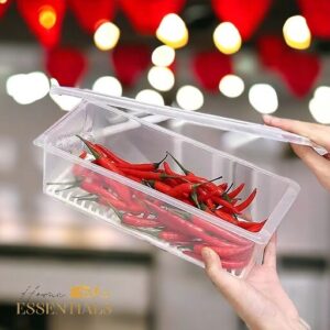 Fridge Food Container with Water Filter – Omega